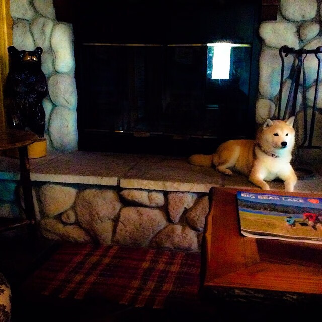 绝杀三分夜，麦科勒姆的一腔孤勇与山西队的逆袭史诗