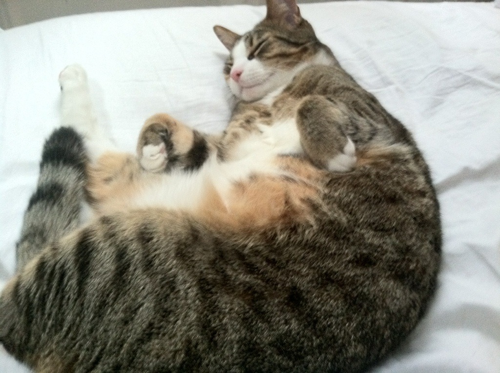 烈焰、幻影、终局，苏亚雷斯爆发之夜与法兰西的致命一击