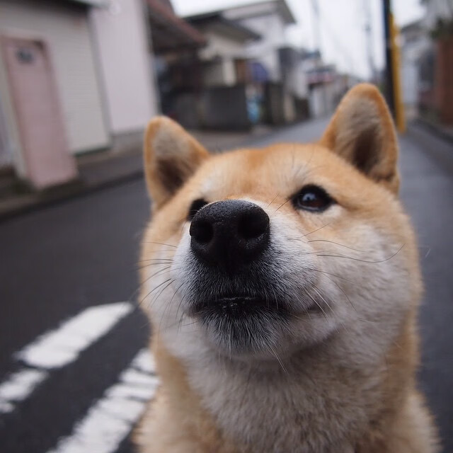 迪马利亚泪别，新星破茧，国家队的夜与晨