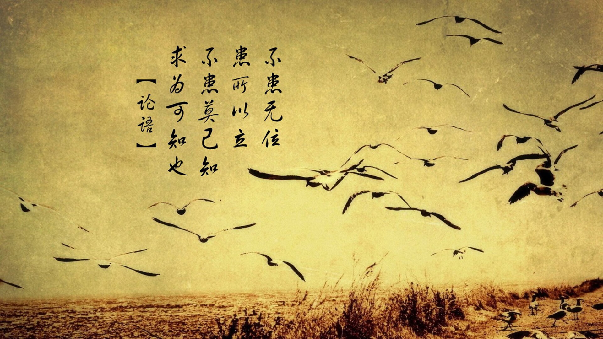 伯纳乌神迹之夜，当凡人血液点燃星辰—记奥亚尔萨瓦尔的双响与西甲的永恒剧本