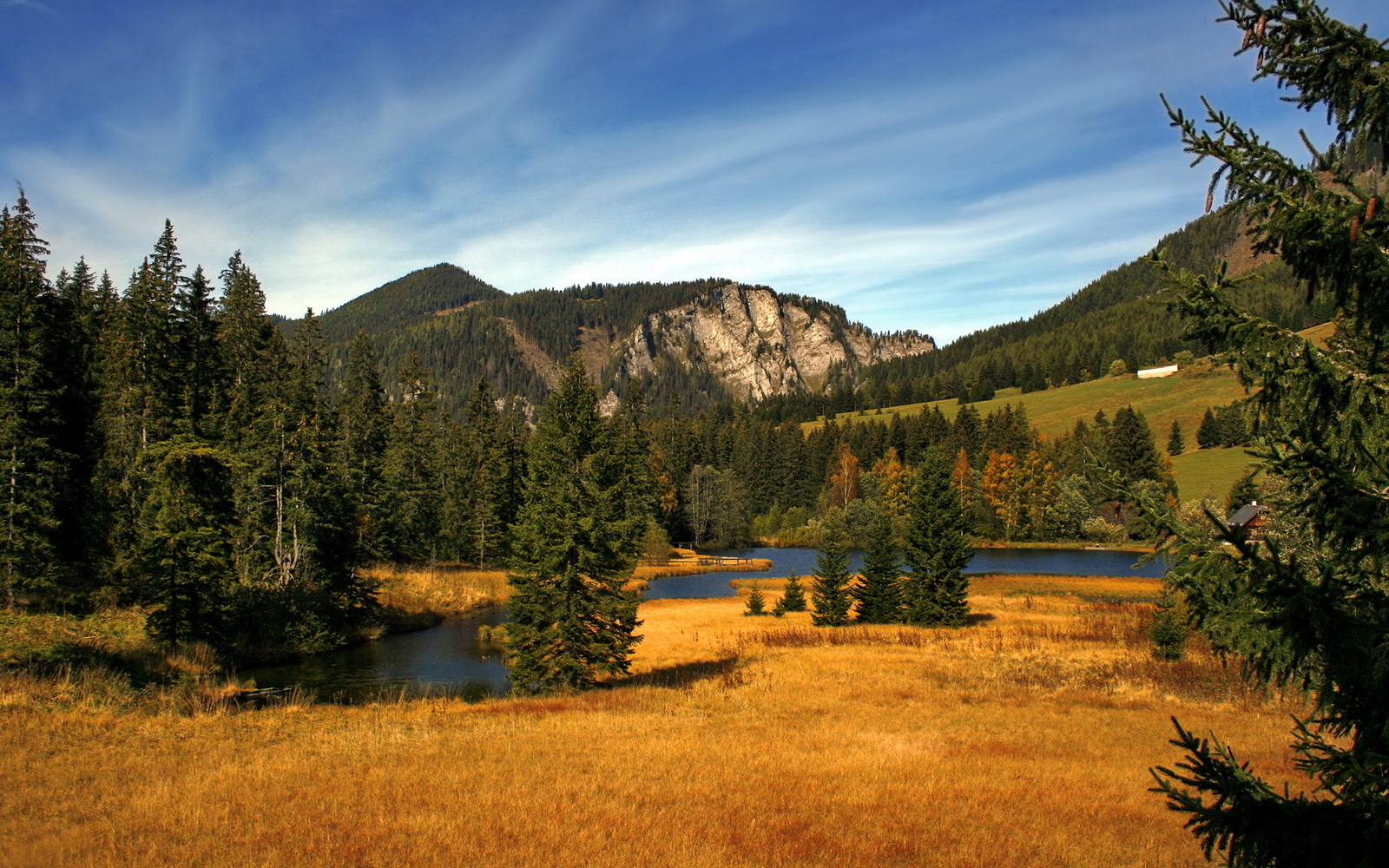 绿军恐惧的并非输球,而是锡安成了噩梦本身