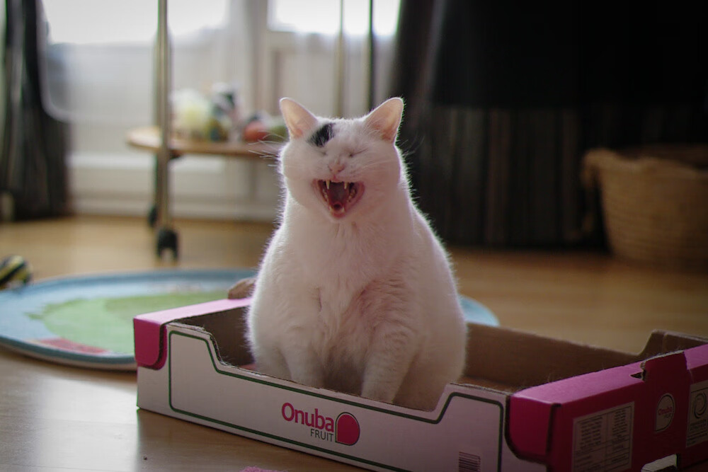 开拓者强行叩关终结火箭连胜，布伦森临危受命化身关键先生