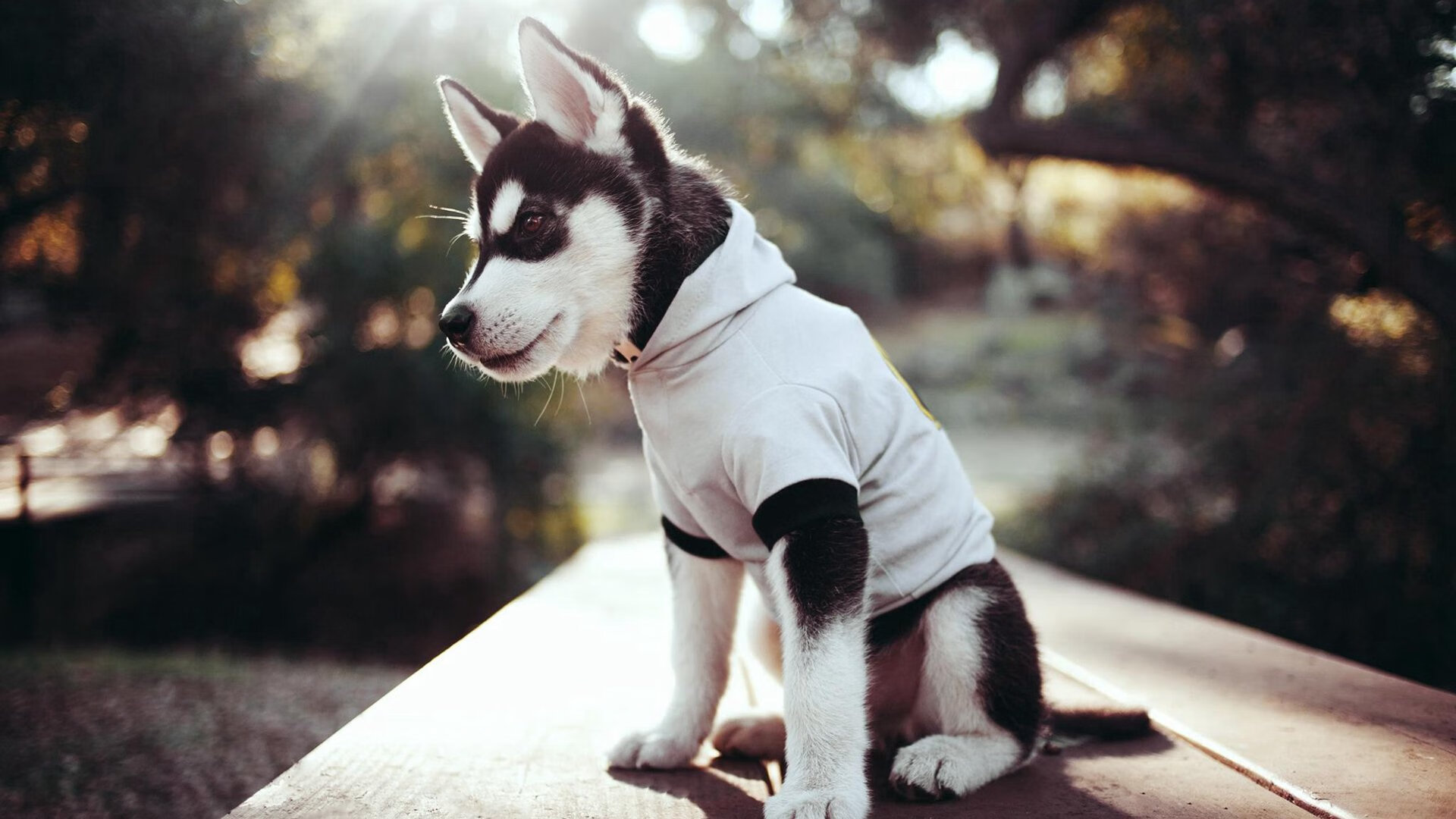 中投史诗与爵士意志,当德罗赞的复古艺术点燃逆转烽烟