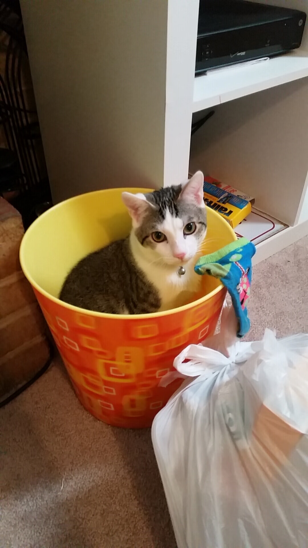 黑星坠落，王座无声更迭，当童话王国在刀尖起舞