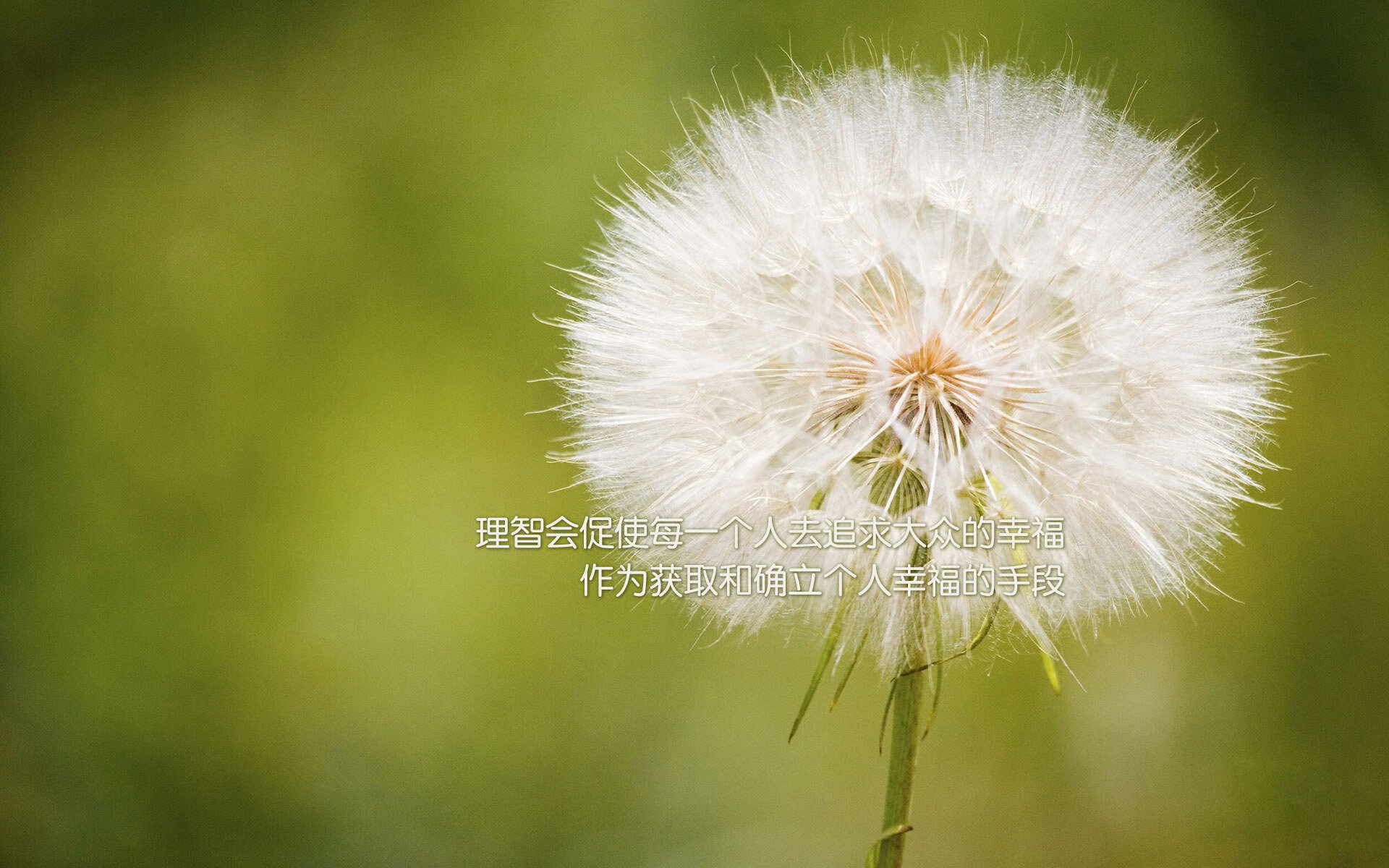 冰与火的对决,国王末节淬火成锋,辽宁主场熄灭火种