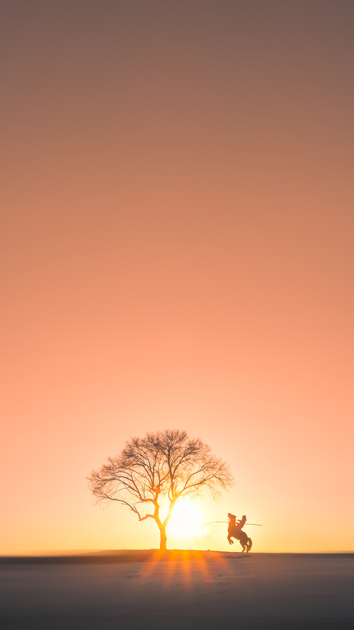 点球鏖战！塞内加尔坚韧晋级，富安健洋心理涅槃定乾坤