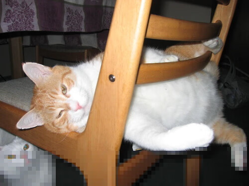 爱游戏入口-一场被踢碎的机械论，当托尼的魔术穿越里昂的铁壁