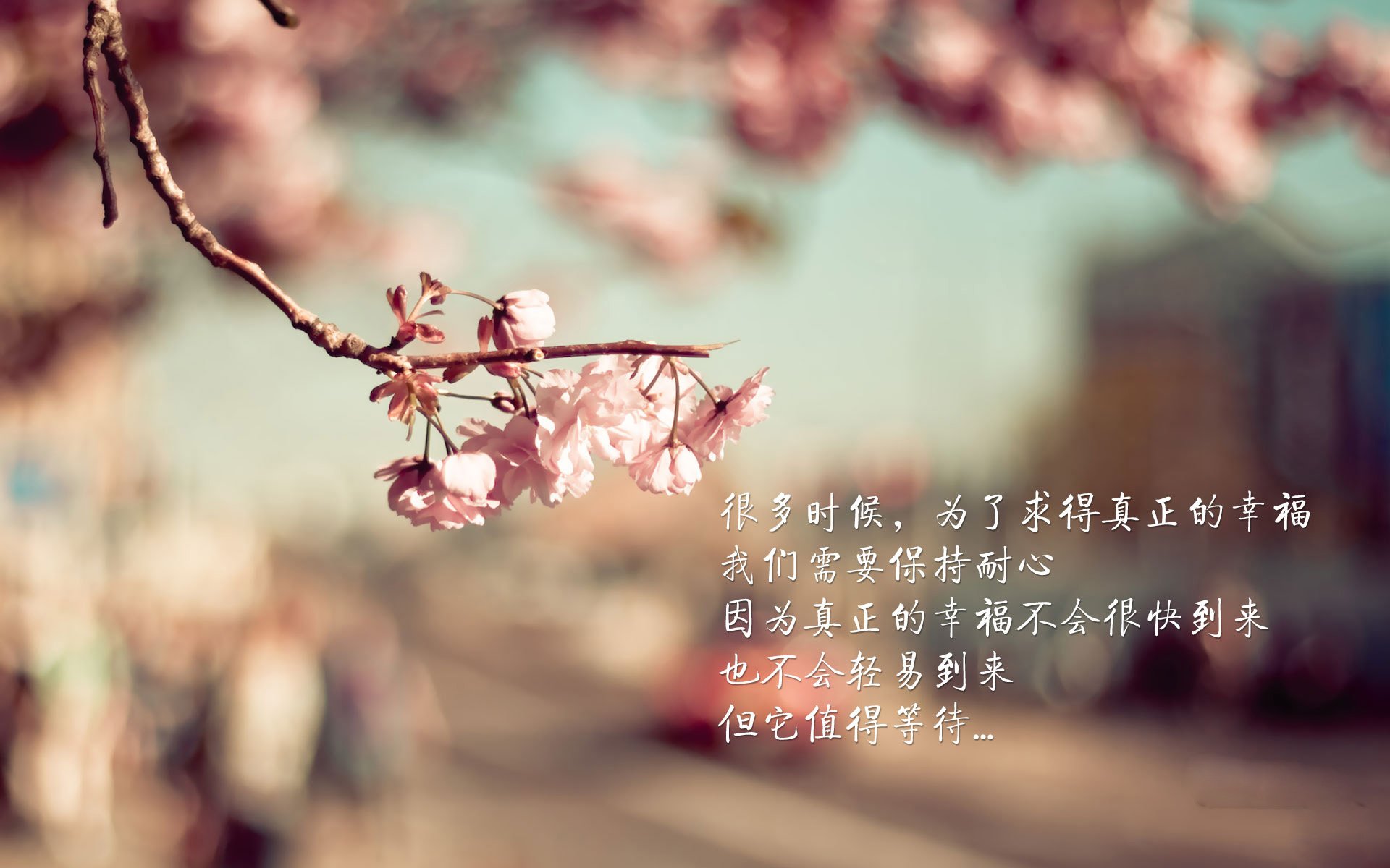 沙漠之鹰击碎桑巴，2026世界杯H组，伊朗闪电反击掀翻巴西，莱万独木难支成悲情英雄