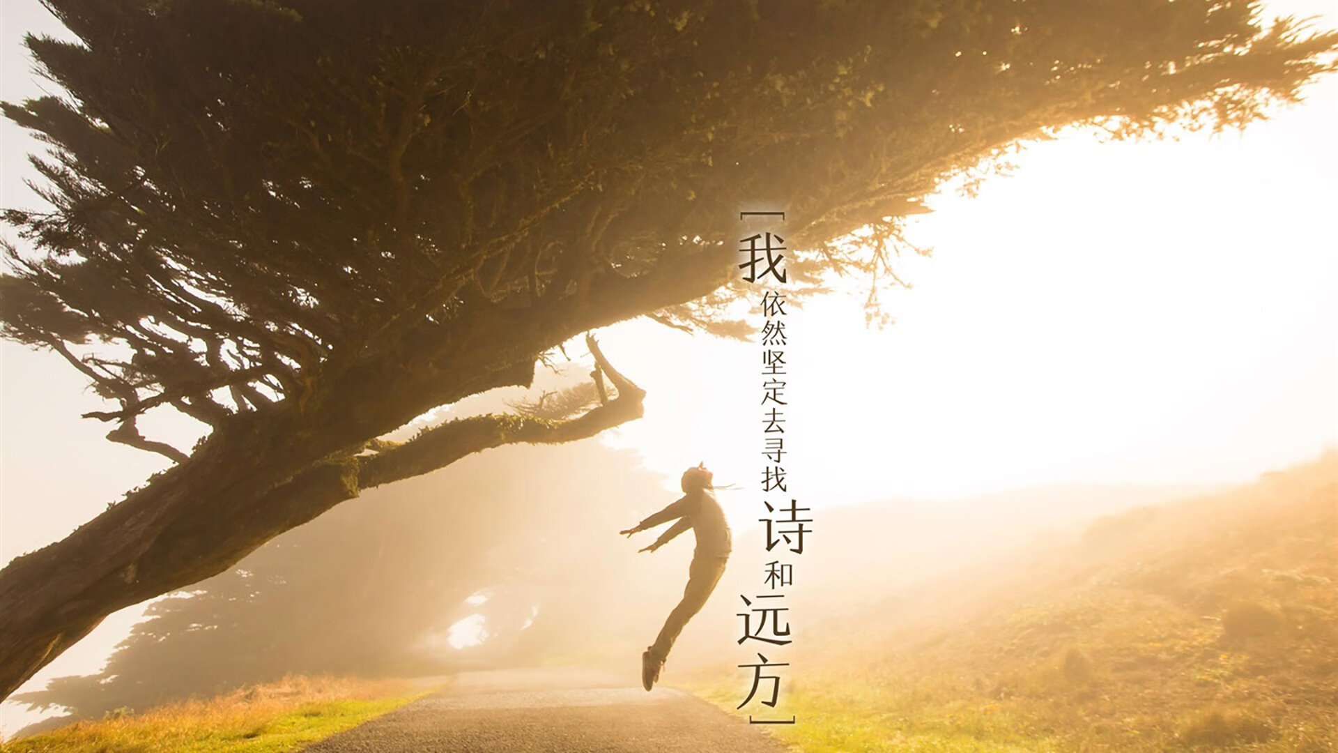 宿命的回响,2026,瑞士与伊朗的蓝桥遗梦,维尼修斯的加冕礼